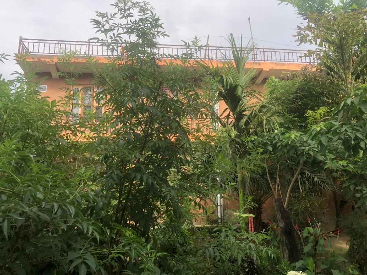 Tara Guesthouse - Sauraha,Chitwan Esterno foto