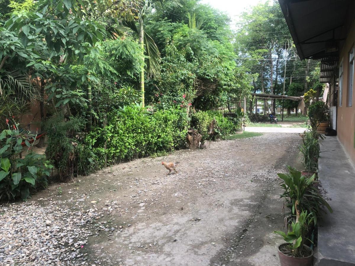 Tara Guesthouse - Sauraha,Chitwan Esterno foto