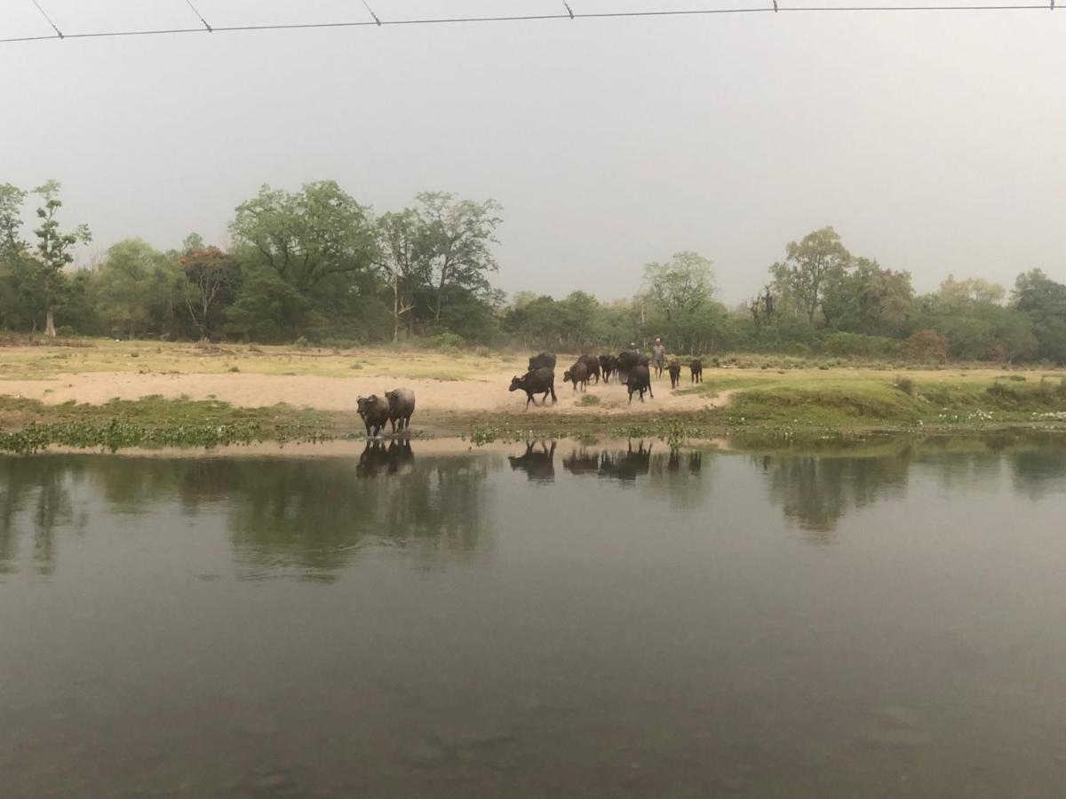 Tara Guesthouse - Sauraha,Chitwan Esterno foto