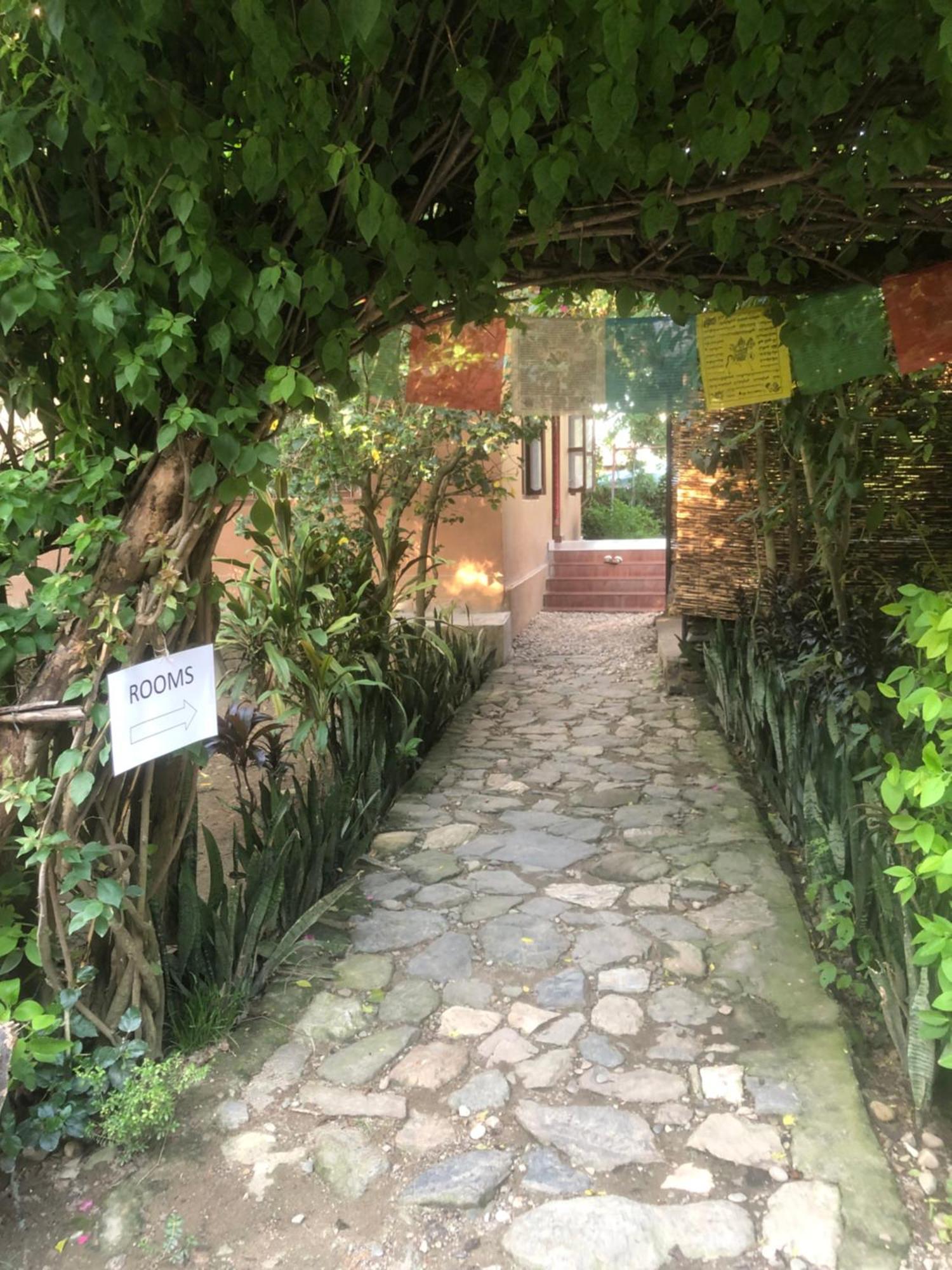 Tara Guesthouse - Sauraha,Chitwan Esterno foto