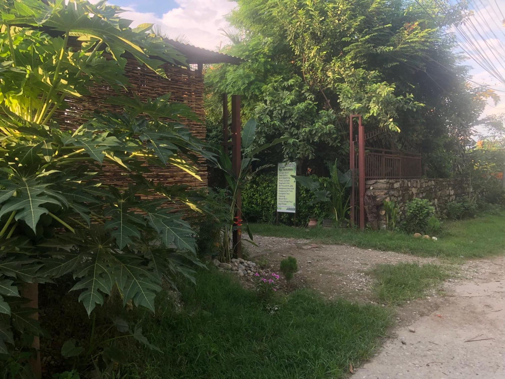 Tara Guesthouse - Sauraha,Chitwan Esterno foto